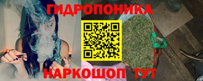 прущие крисы Ипатово