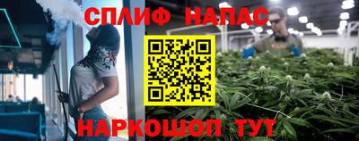 прущие крисы Изобильный