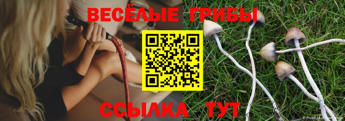Псилоцибиновые грибы Magic Shrooms Шарыпово